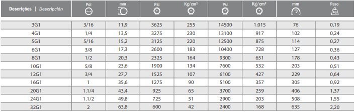 Mangueira Gates 10G1